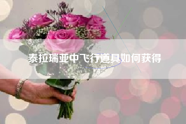 泰拉瑞亚中飞行道具如何获得