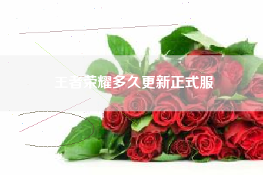 王者荣耀多久更新正式服