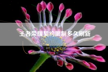 王者荣耀契约限制多久刷新
