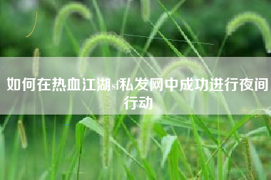 如何在热血江湖sf私发网中成功进行夜间行动