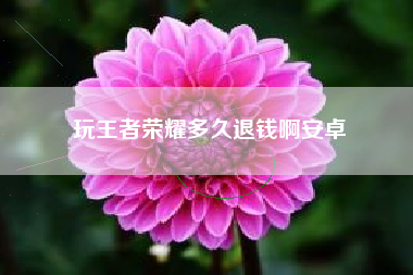 玩王者荣耀多久退钱啊安卓