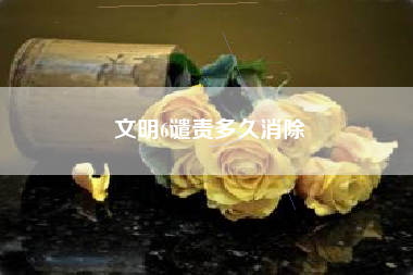 文明6谴责多久消除