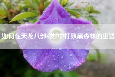 如何在天龙八部S发F中打败黑森林的巫婆