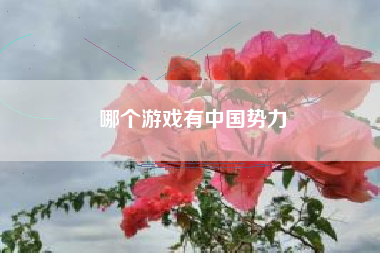 哪个游戏有中国势力