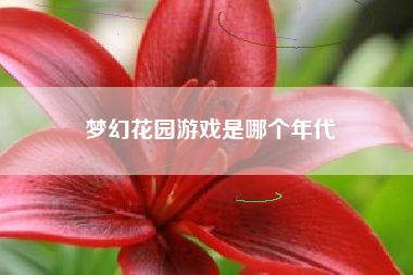 梦幻花园游戏是哪个年代