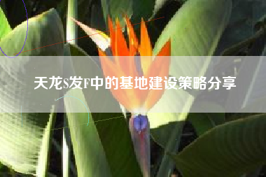 天龙S发F中的基地建设策略分享