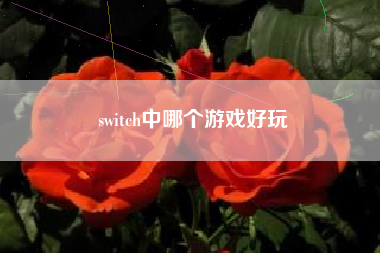 switch中哪个游戏好玩