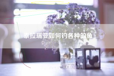 泰拉瑞亚如何钓各种的鱼