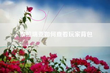泰拉瑞亚如何查看玩家背包