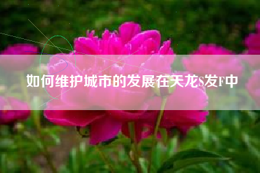 如何维护城市的发展在天龙S发F中