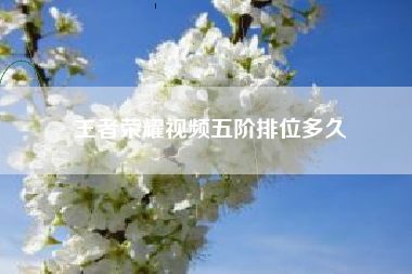 王者荣耀视频五阶排位多久