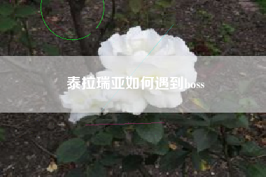 泰拉瑞亚如何遇到boss