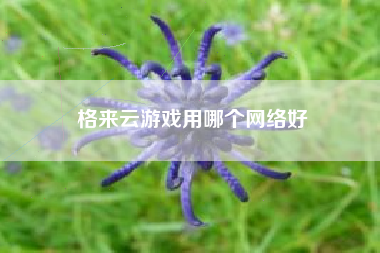 格来云游戏用哪个网络好