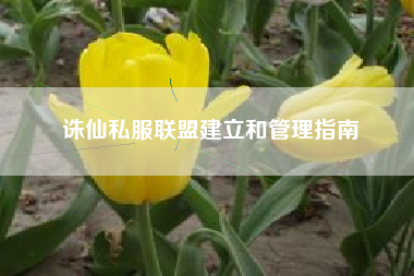 诛仙私服联盟建立和管理指南