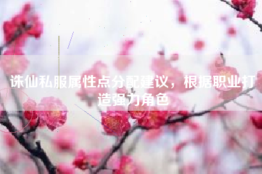 诛仙私服属性点分配建议，根据职业打造强力角色