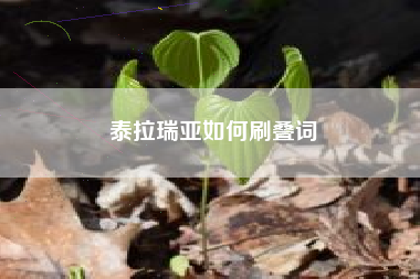 泰拉瑞亚如何刷叠词