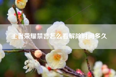 王者荣耀禁言怎么看解除时间多久