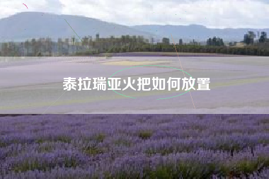 泰拉瑞亚火把如何放置