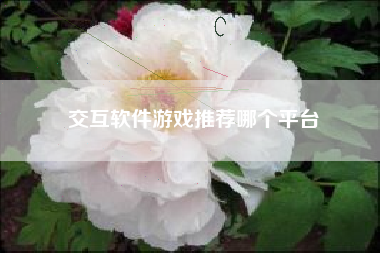 交互软件游戏推荐哪个平台