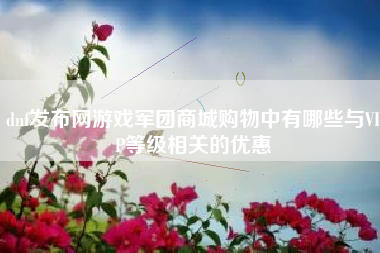 dnf发布网游戏军团商城购物中有哪些与VIP等级相关的优惠