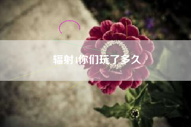 辐射4你们玩了多久