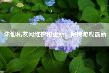 诛仙私发网维护和更新：保持游戏最新