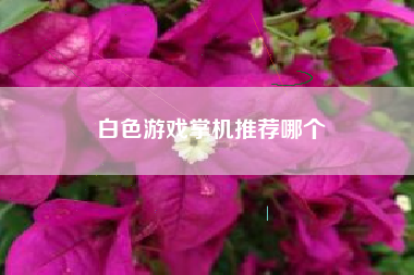 白色游戏掌机推荐哪个