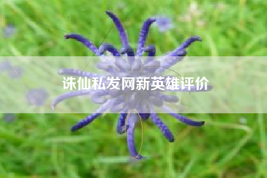 诛仙私发网新英雄评价
