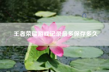 王者荣耀游戏记录最多保存多久