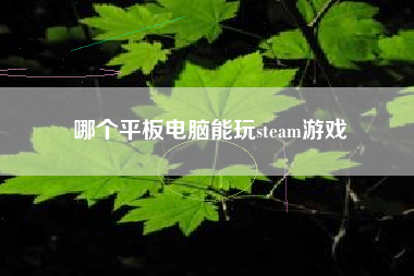 哪个平板电脑能玩steam游戏