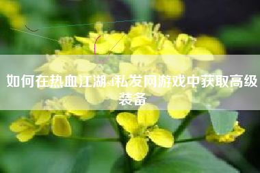 如何在热血江湖sf私发网游戏中获取高级装备