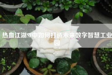 热血江湖SF中如何打造未来数字智慧工业园