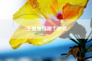 主播推荐哪个游戏