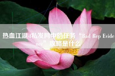 热血江湖sf私发网中的任务“Bad Rep Evidence”攻略是什么