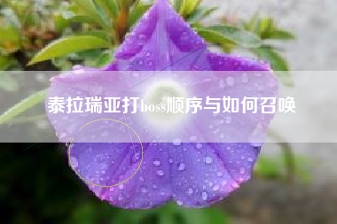 泰拉瑞亚打boss顺序与如何召唤