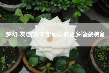 梦幻s发f游戏中如何获取更多隐藏装备