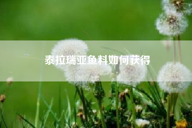 泰拉瑞亚鱼料如何获得