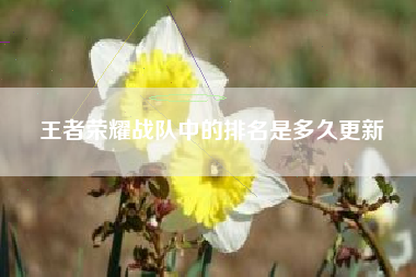 王者荣耀战队中的排名是多久更新