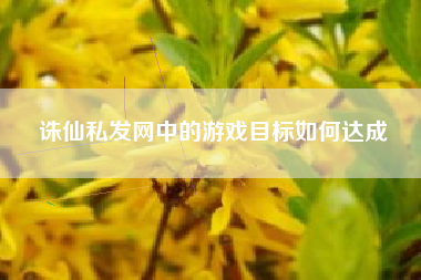 诛仙私发网中的游戏目标如何达成