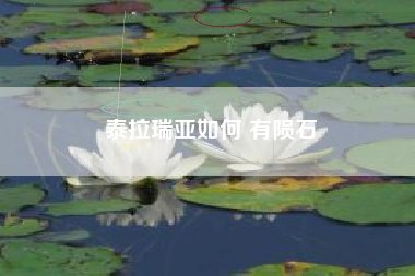 泰拉瑞亚如何 有陨石