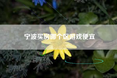 宁波买房哪个区游戏便宜