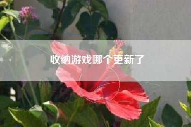 收纳游戏哪个更新了