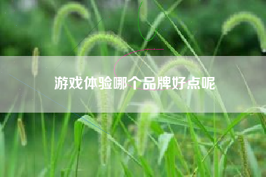 游戏体验哪个品牌好点呢