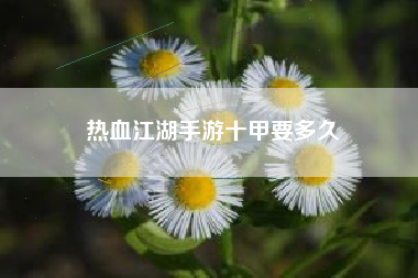 热血江湖手游十甲要多久