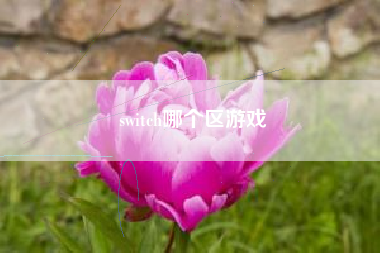 switch哪个区游戏