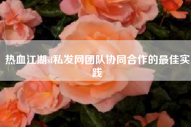 热血江湖sf私发网团队协同合作的最佳实践