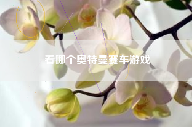看哪个奥特曼赛车游戏
