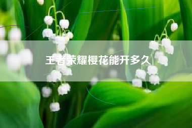 王者荣耀樱花能开多久