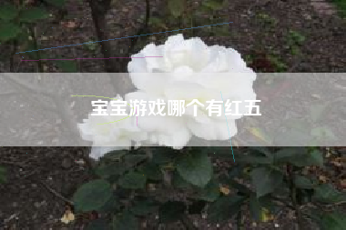 宝宝游戏哪个有红五
