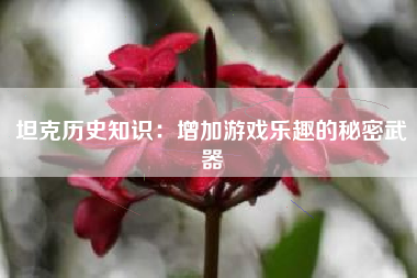 坦克历史知识：增加游戏乐趣的秘密武器